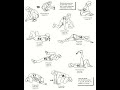 Do These 9 Stretches to Fix Your Posture! 🧘♂️ #yoga #yogaforbeginners #fitness #yogapractice
