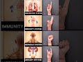 #mudra #nervous #system #immunity #respiratoryhealth #urinary #system #shiva #bhakti #om #goviral