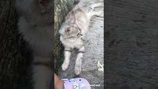 Biarkan Mereka Asik Dengan Dunianya
