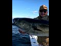 Every minute of fishing is incalculably valuable