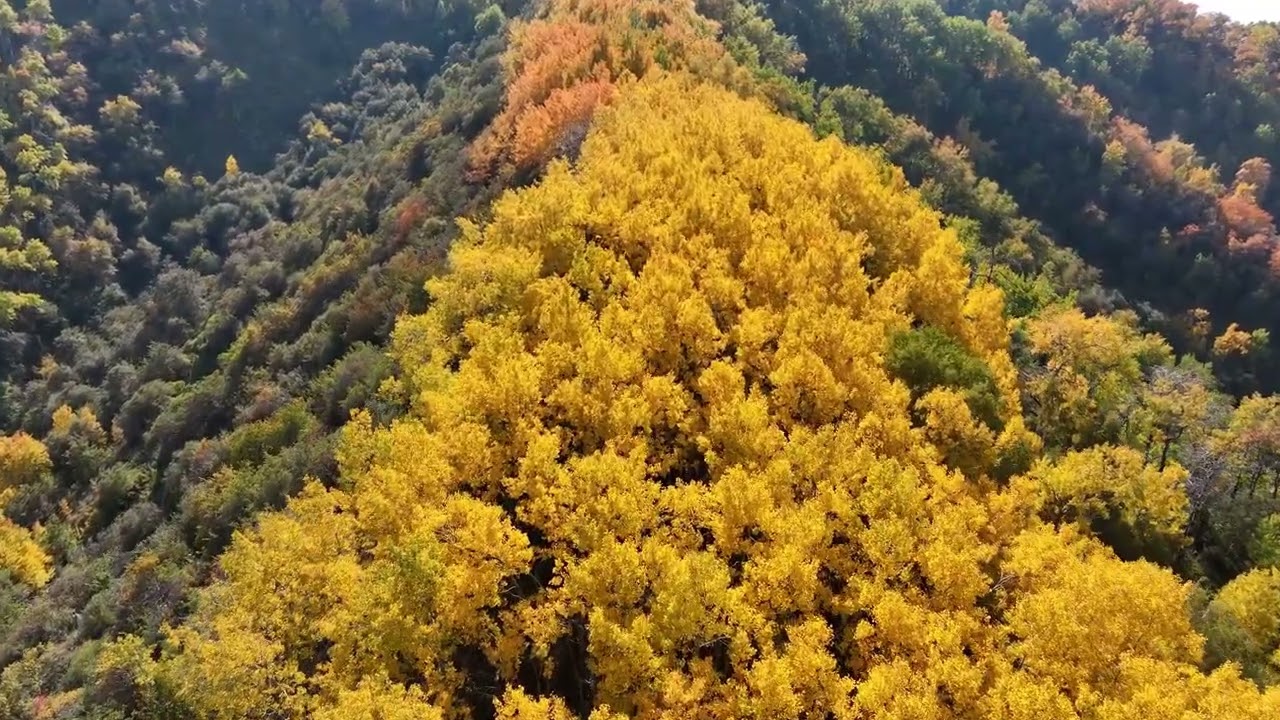 Осень в горах 2023 - Mavic 3 Classic.