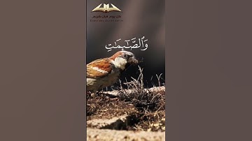 آيات من الذكر الحكيم للقارئ محمد اللحيدان #اكسبلور #ياسر_الدوسري #المصحف #راحة_نفسية #القزابري
