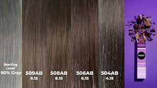 Matrix SoColor Chocolate Permanent Shades | Living Shade Chart | 90% Gray Hair | Cool Tones