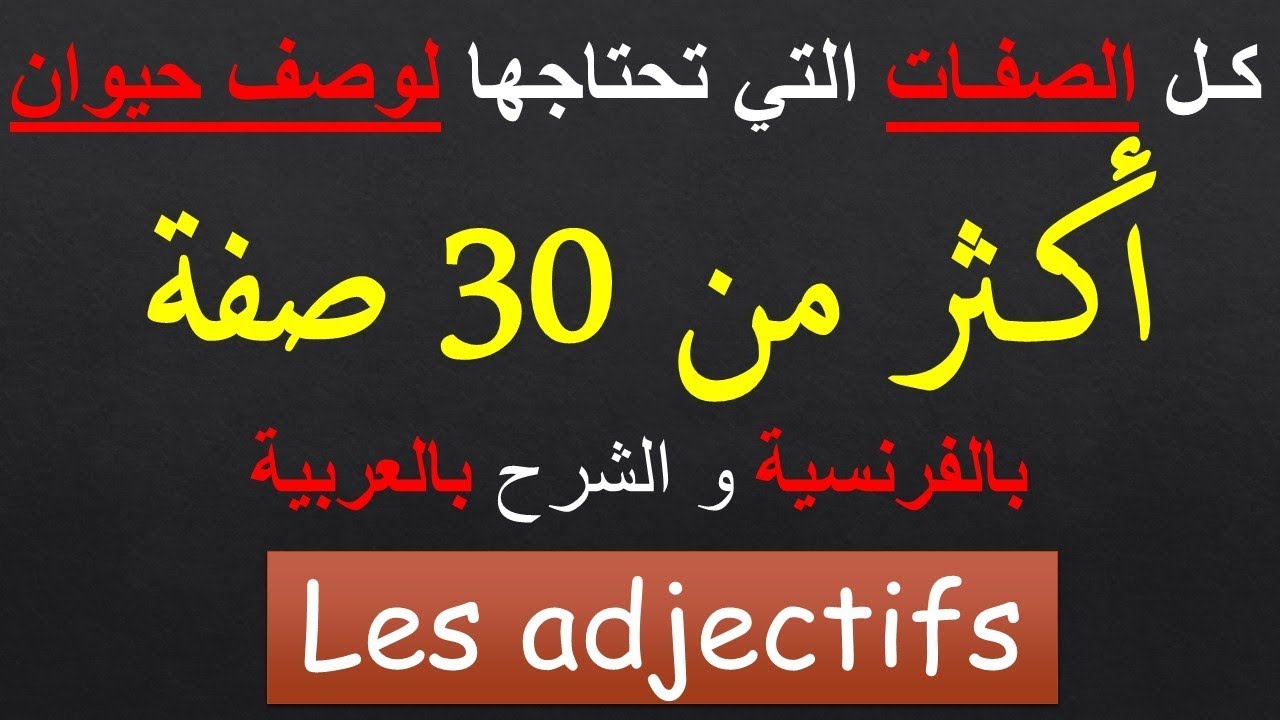 Production écrite, les adjectifs pour décrire un animal | كـل الصفـات التي تحتاجها لوصف حيوان