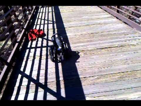 VID 20110405 110550