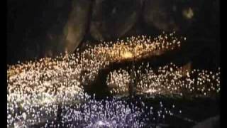 Bruce Munro's Field of Light at The Eden Project, Cornwall