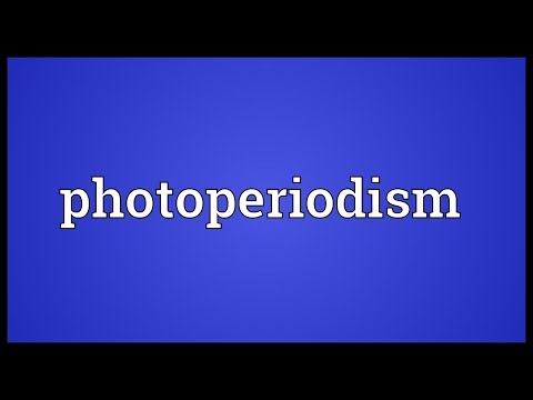 Header of photoperiodism