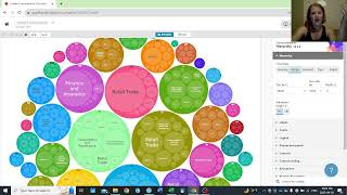 Dive into Flourish: Crafting Packed Bubble Graphs