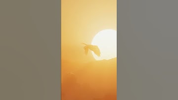 Flamethrowing foes in Assassin