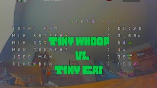 Tiny Whoop vs. Tiny Cat
