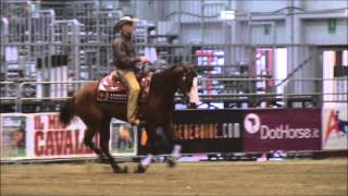 Napoleon Sg - Ewald Rifeser