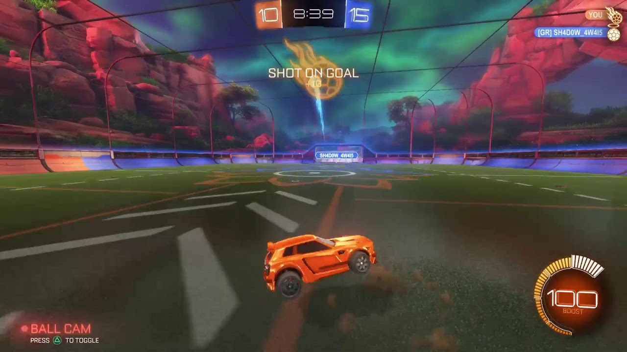 Playing Rocket leage with my friend