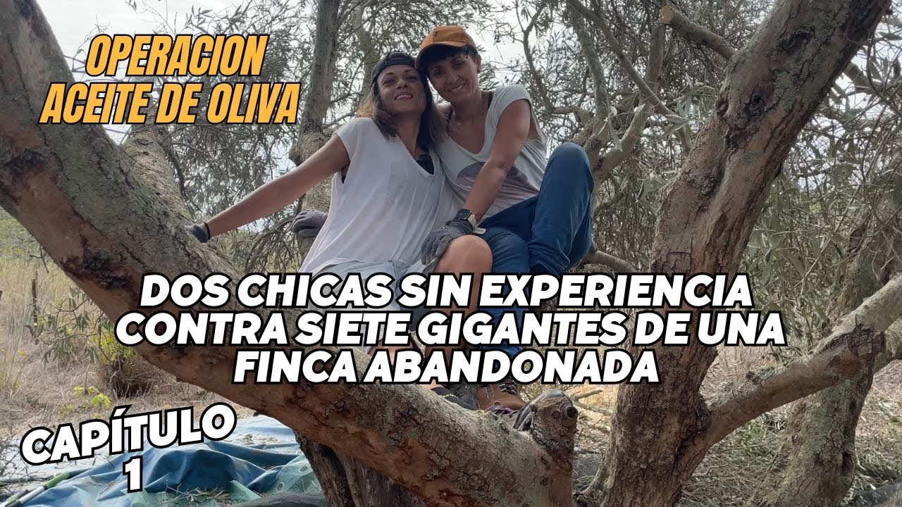 Solas y sin experiencia, no sabemos si varear o escalar💪🏽🌳. Operación aceite de oliva. Capítulo #1