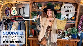 GOODWILL THRIFT HAUL | 3 Day Road Trip Pickin' | Sourcing Vintage For Resale | Thrift With Me! screenshot 4