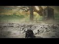 Elden Ring DLC Inventory &amp; Build Check | PS5