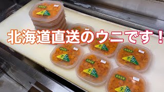 【北海道 産地直送】塩水ウニが入荷しました