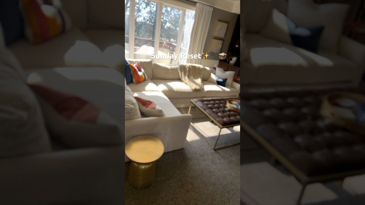 Sunday reset 🧺🐾📋 