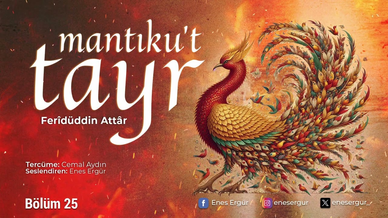 MANTIKU'T TAYR - 25.BÖLÜM