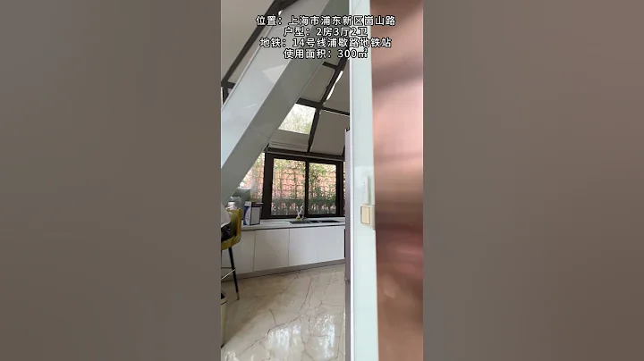 NO.1459上海买房❗❗陆家嘴·大露台三层复式1xxxW - 天天要闻