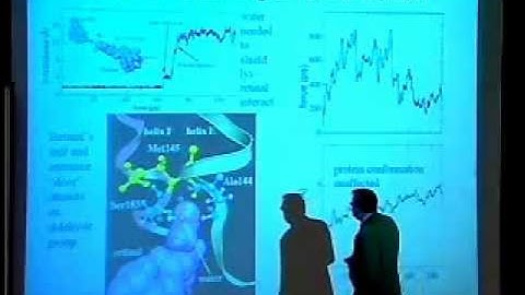 TCBG Summer School 2003: Steered Molecular Dynamics of Proteins - Introduction and Examples