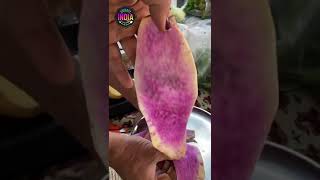 Download Lagu Dumas most famous ratalu puri, surati food, food lovers, khanaindiaka. MP3