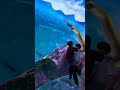 Exploring a Stunning Underwater Palace 🏯🌊You Won’t Believe This Place Exists! 😱