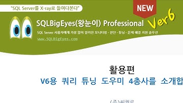 SQLBigEyes Professional 활용편-V6-쿼리 튜닝 도우미 4총사 소개