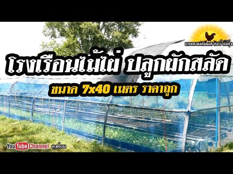 สุดยอดโรงเรือนปลูกผัก ทำจากไม้ไผ่ สวนเกษตรอินทรีย์|ลุงต๋อม เกษตรผสมผสานบ้านทุ่ง