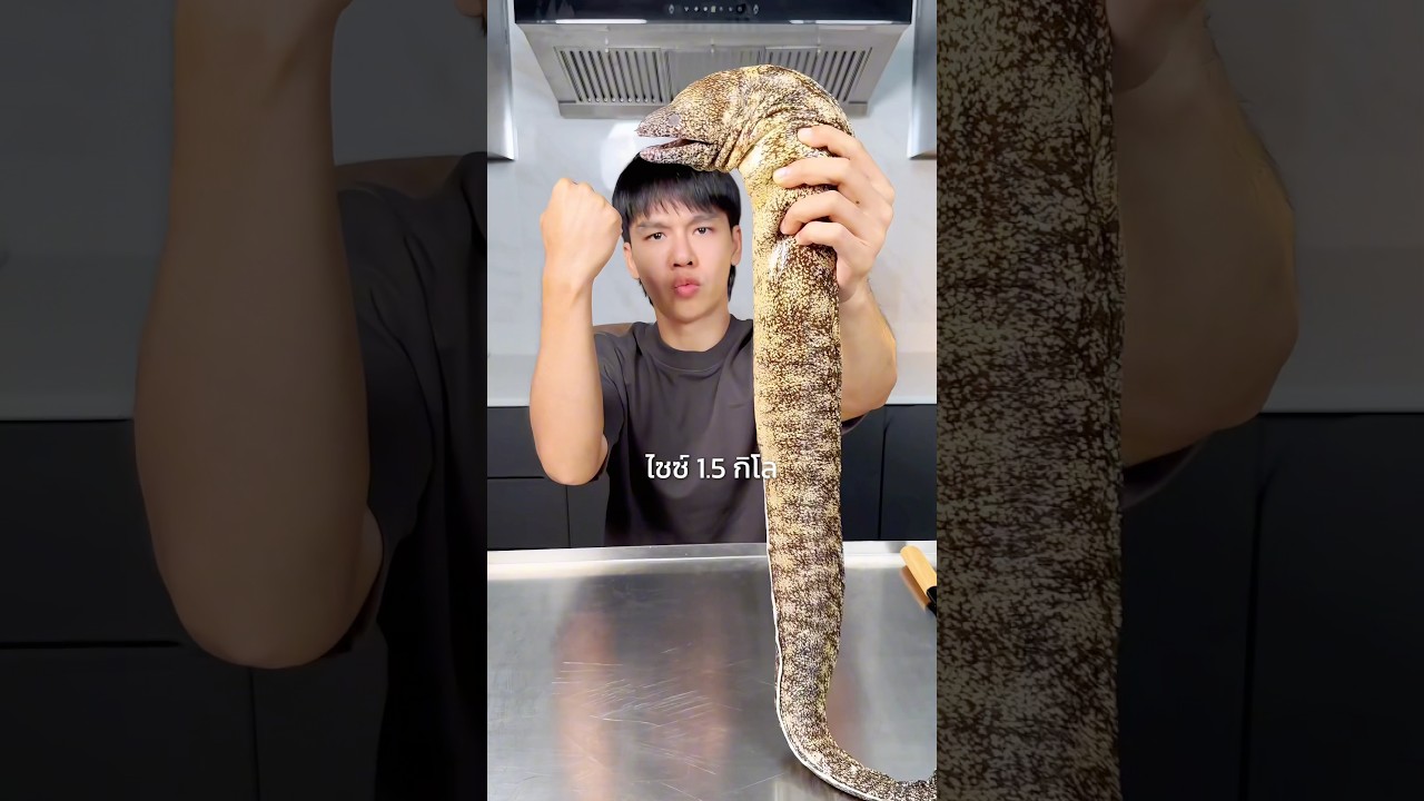 ปลาไหลมอเรย์ตุ๋นพริกจีน 🐟#seafood #moray #eel
