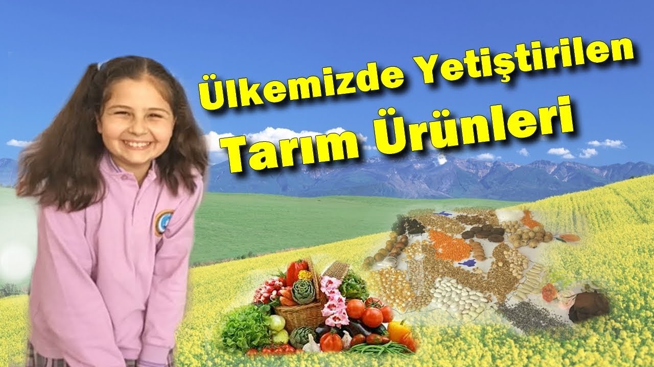 Ülkemizde Yetiştirilen tarım Ürünleri