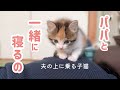 お昼寝中の夫に添い寝しようとする甘えん坊な子猫