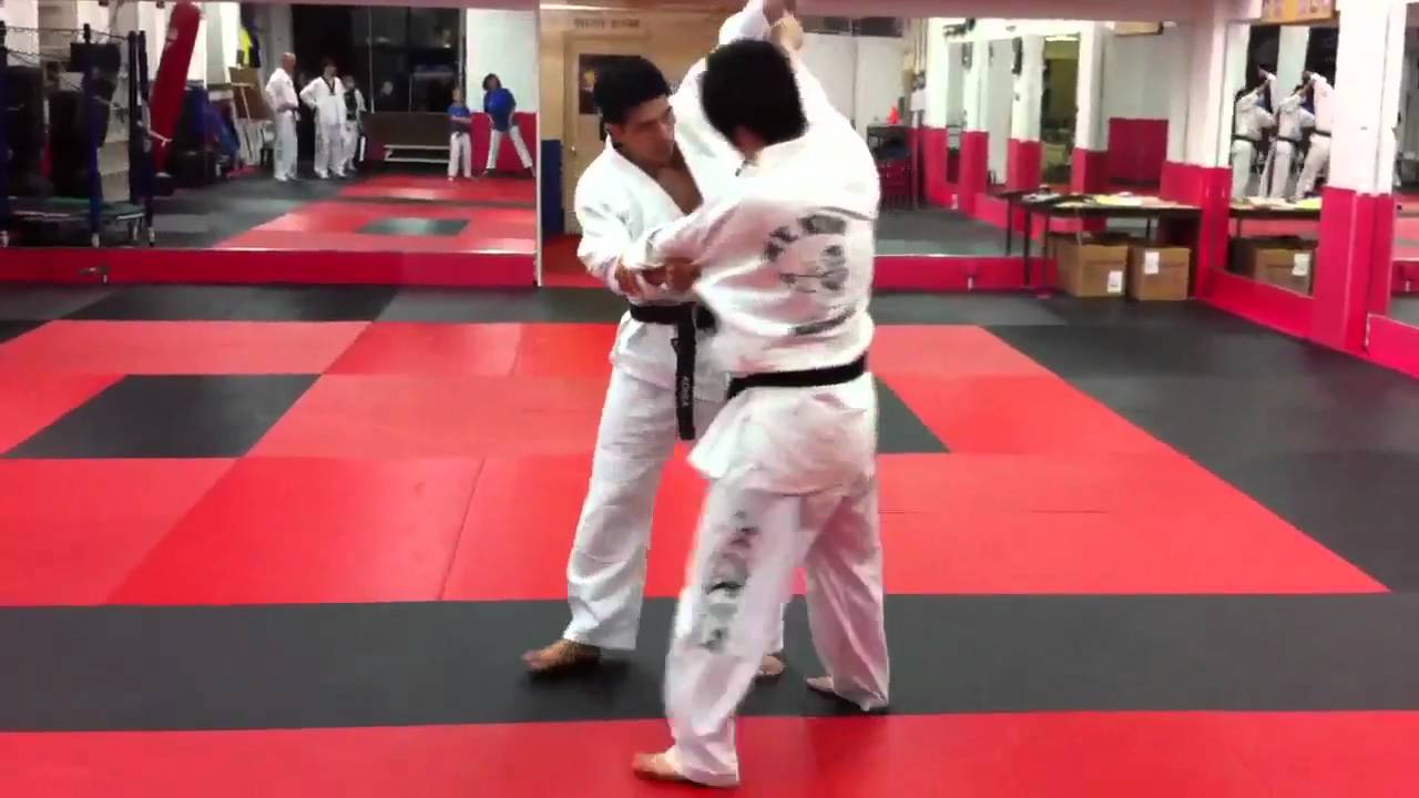 Mountain Kim Martial arts Masters' Judo and Hapkido YouTube