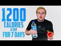 Eating 1200 CALORIES A Day For 7 Days And This Is What Happened