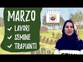 ORTO di MARZO: lavori e semine da fare