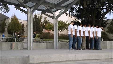 AlphaOmegaUSFCSalute