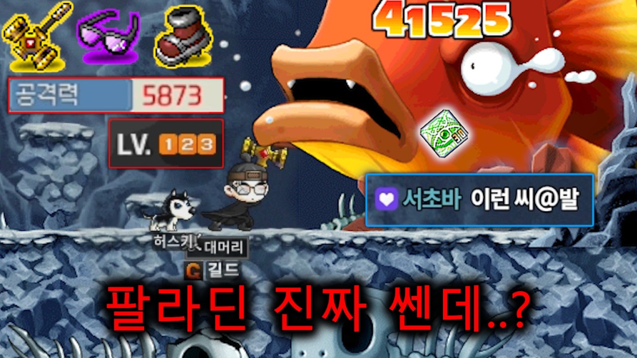 팔라딘 1위로 등판한 대머리 ㄷㄷㄷ