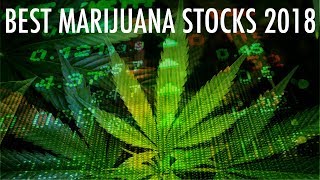 3 Marijuana Stocks To Buy Right Now!