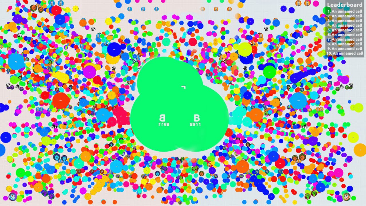 1,000+ Agar.io Bots + Private Agario Server with a FAN! 