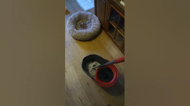 Handy Dandy clean up