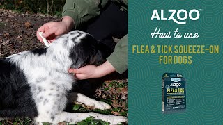 How to use ALZOO™ F&T Squeezeon for Dogs?