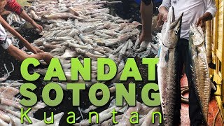 Candat Sotong 2019  |  (123kg)