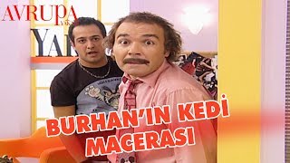 Burhan'ın Kedi Macerası - Avrupa Yakası