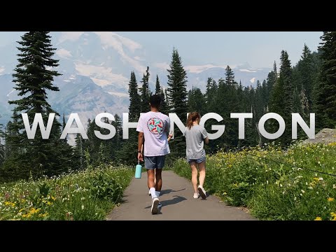 The Pacific Northwest Road Trip Pt. 2 | Mt. Rainier, Cat Cafés, and Wine Tours in Washington