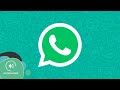 WhatsApp CAMBIA DE COLORES su interfaz y prueba nuevas funciones | El Recuento