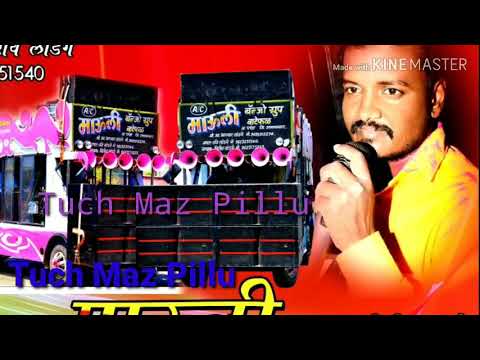 🔥तूच माझ पिल्लू🔥Active Pad mix🔥Mauli Banjo sambal mix banjo song