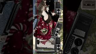 Christmas Love! ❤️ #catsoftiktok #love #isthislove #2025love #fyp@Leon Bridges