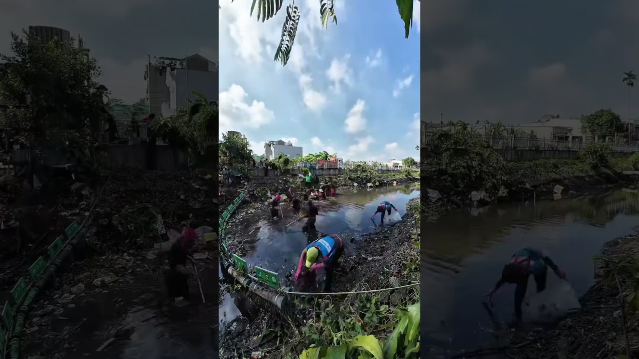 Let's Cleanup Some Trash! 