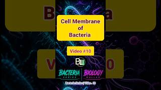 Cell Membrane of Bacterial | Bacteria series - Video 10 | Biology Wallah #bacteria #biology