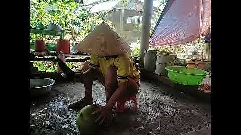 cô gái vĩnh long chặt dừa có khác