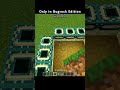 Only in Bugrock Edition | @RahulParmarGaming | #minecraft #shorts #7x7